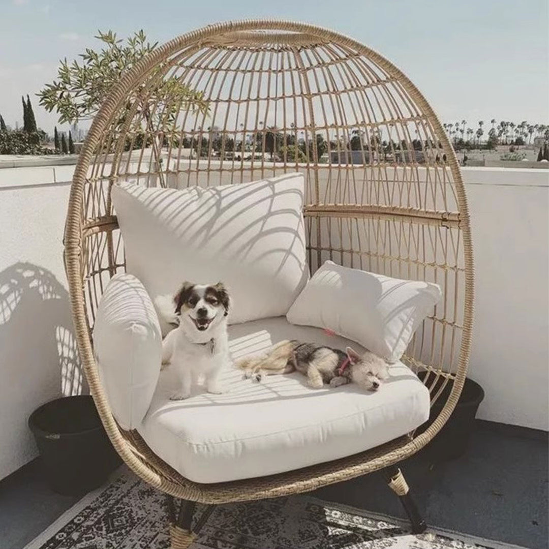 Wicker Rattan Egg Chair for Cozy Lounging Present Them