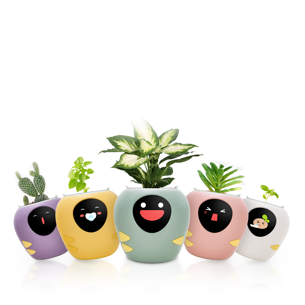 Masdio Smart Flowerpots