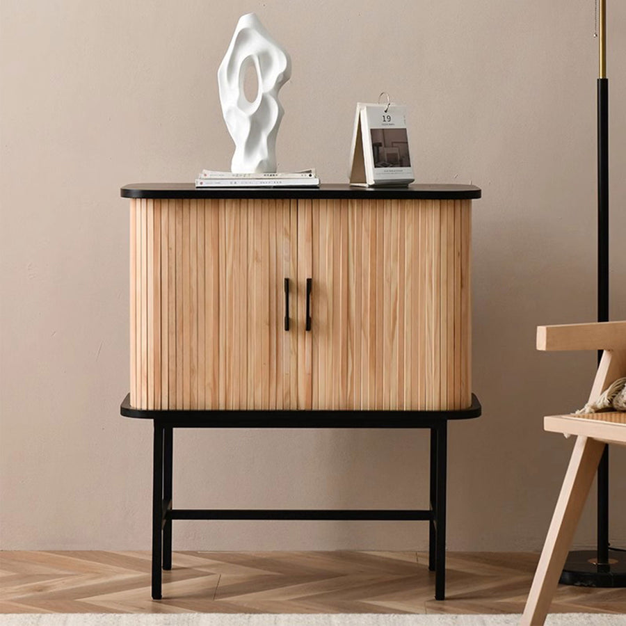 Contemporary 2-Door Wooden Cabinet Present Them