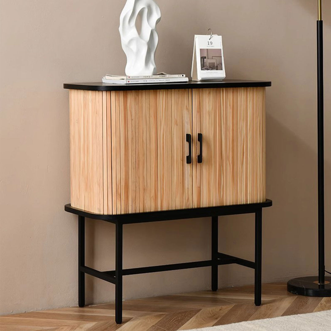 Contemporary 2-Door Wooden Cabinet Present Them