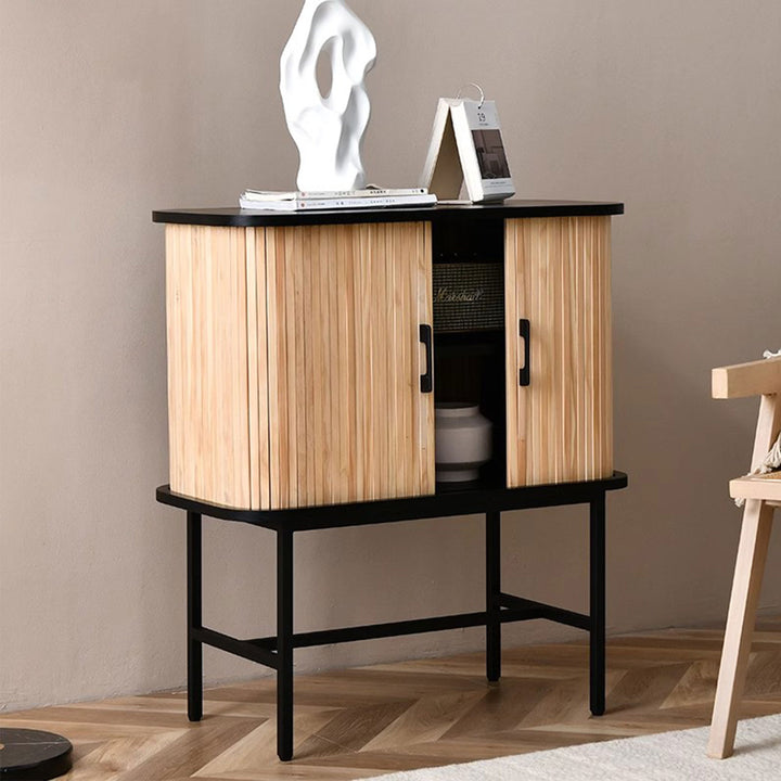 Contemporary 2-Door Wooden Cabinet Present Them