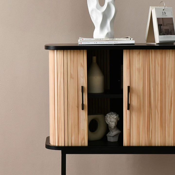 Contemporary 2-Door Wooden Cabinet Present Them