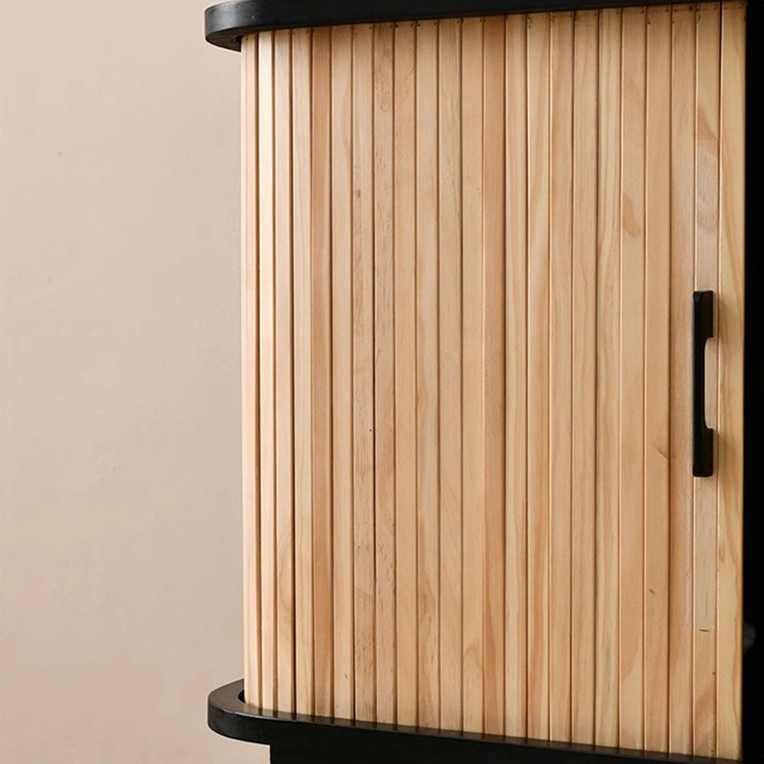 Contemporary 2-Door Wooden Cabinet Present Them