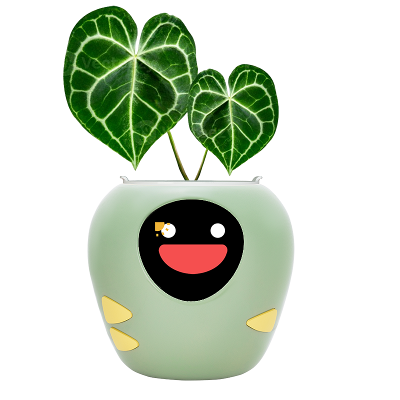 Masdio Smart Flowerpots