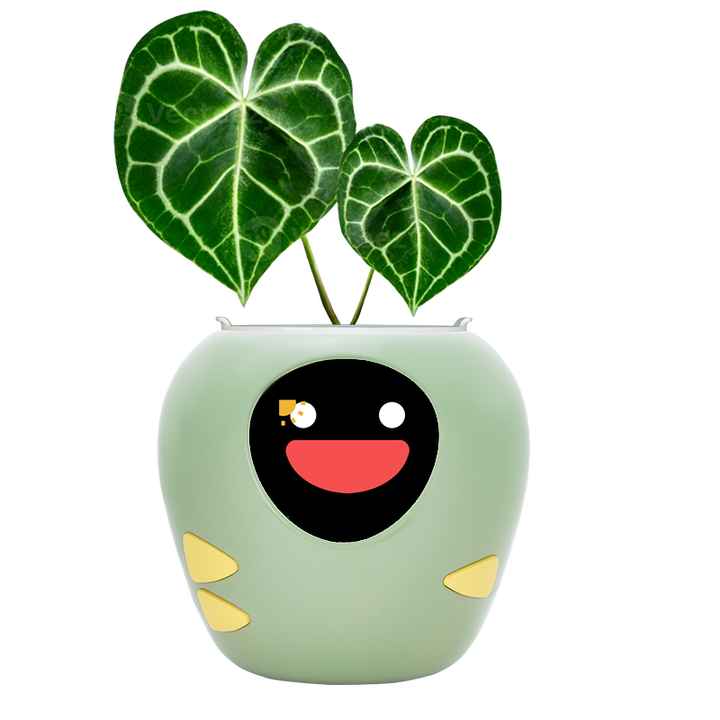Masdio Smart Flowerpots