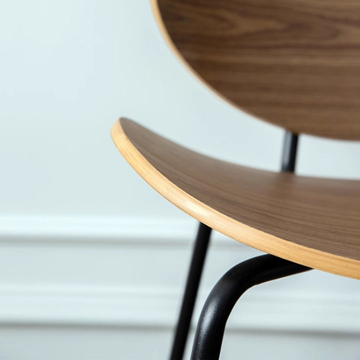 MAS-3034 Masdio Wood Clad Designer Dining Chair