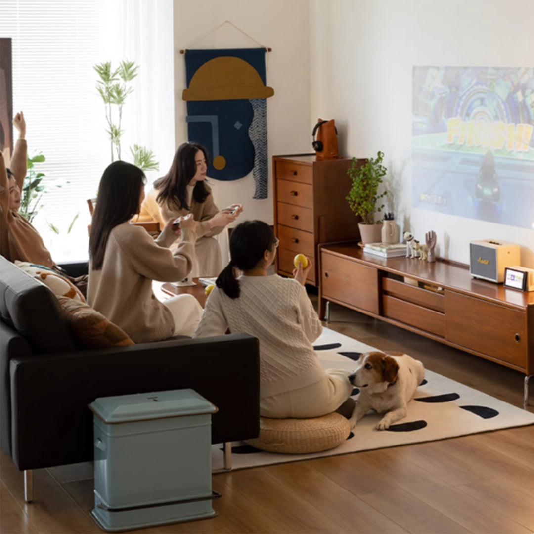MAS-3264 Masdio Retro Solid Wood TV Console