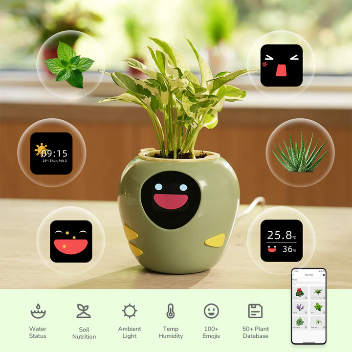 Masdio Smart Flowerpots
