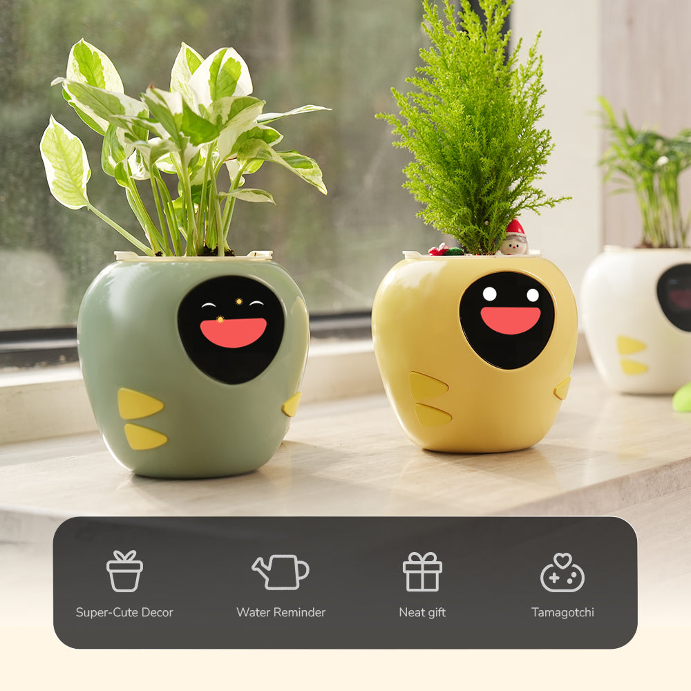 Masdio Smart Flowerpots