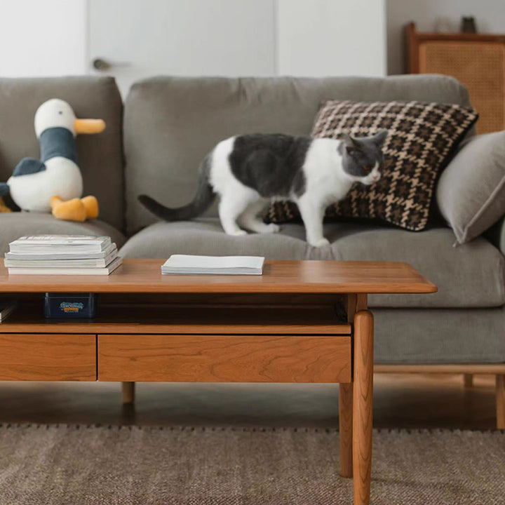 MAS-1352 Masdio Multifunctional Coffee Table Center Piece Masdio