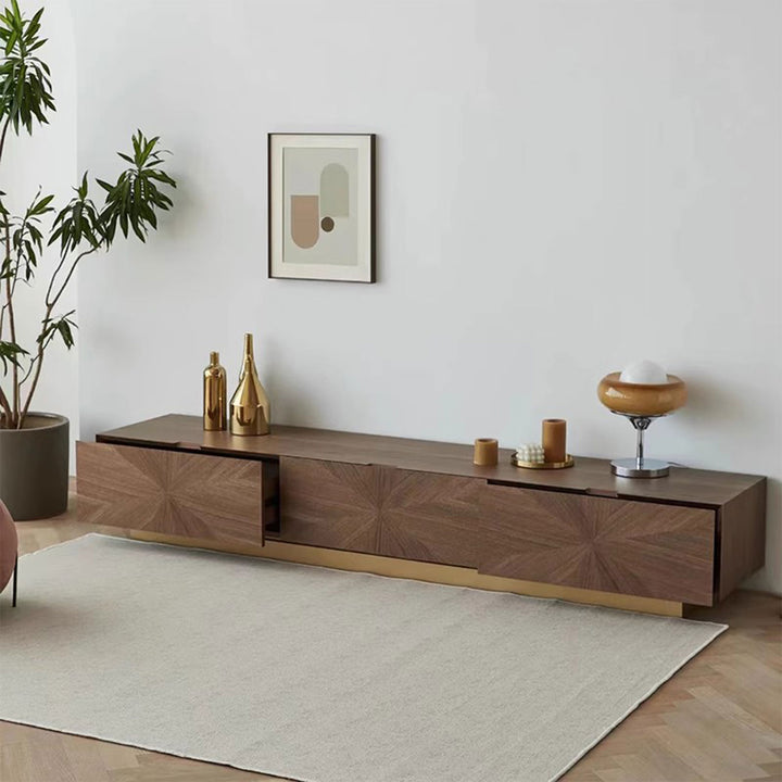 Multifunctional Media Console Present Them