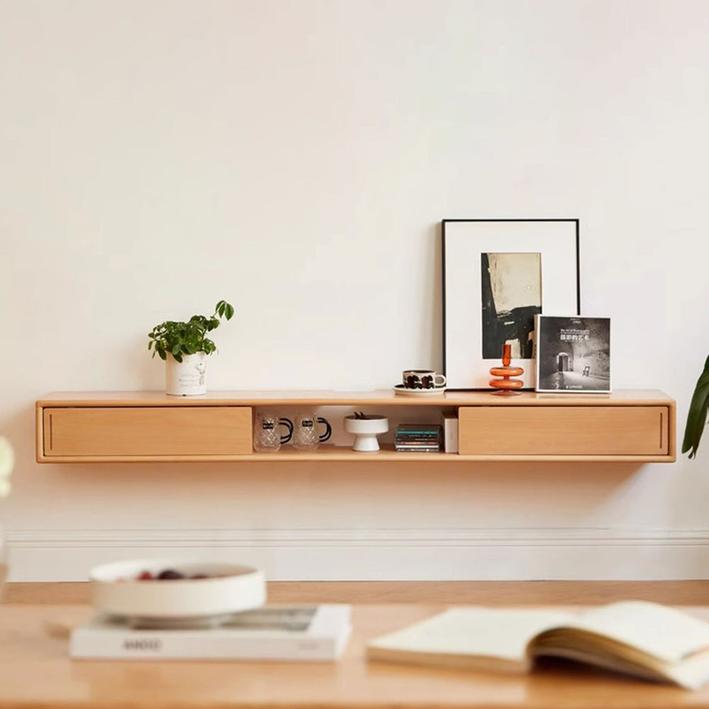 Wall-Mounted Floating TV Stand Present Them