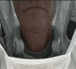 Personal Climate Creator + FREE Summer Guide! Present Them