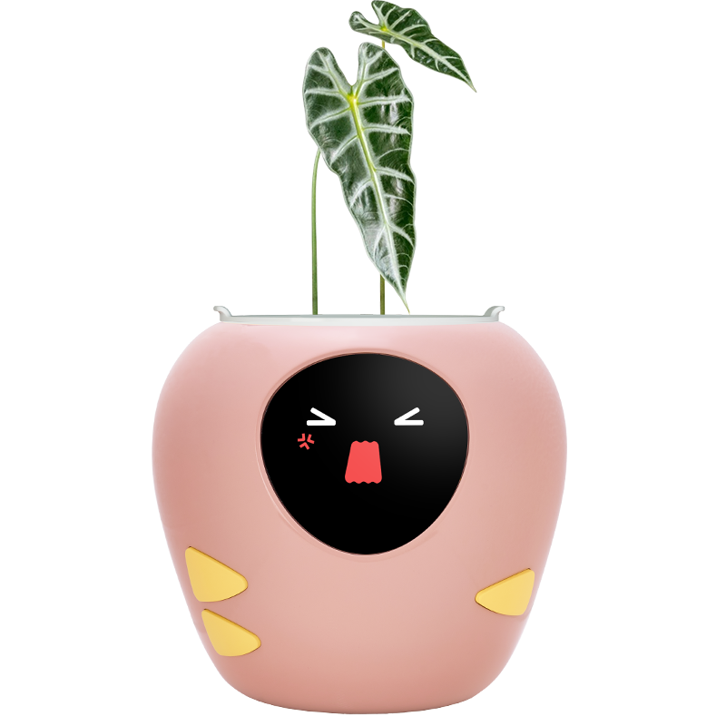 Masdio Smart Flowerpots
