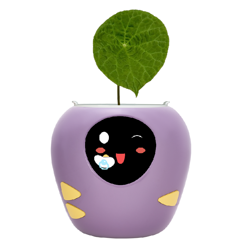 Masdio Smart Flowerpots