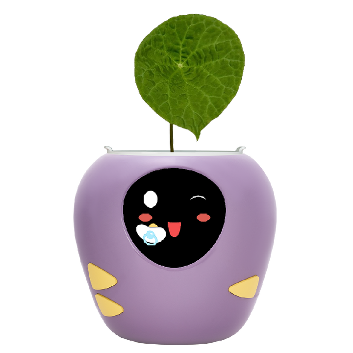 Masdio Smart Flowerpots