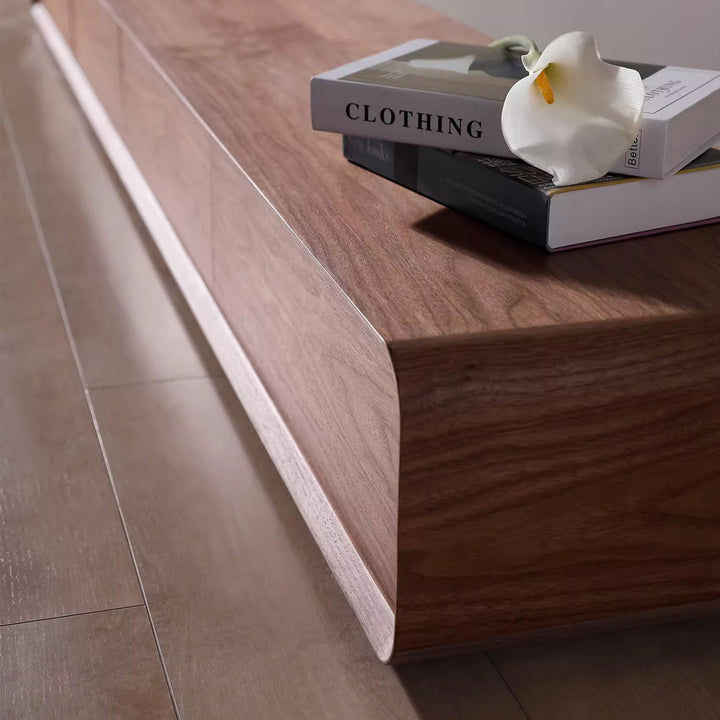 Sleek Wooden TV Stand with Contemporary Design Present Them