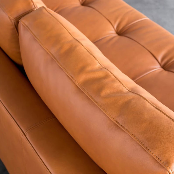 Style and Comfort Arm Sofa Present Them