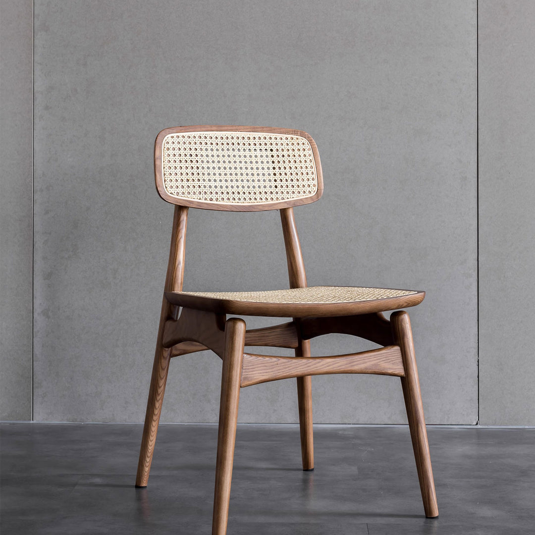 Stylish and Comfortable Dining Chair Present Them