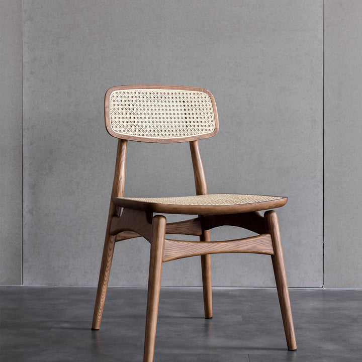 Stylish and Comfortable Dining Chair Present Them
