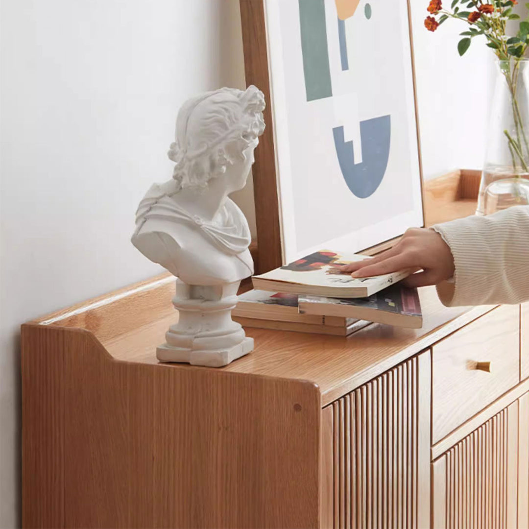 Stylish and Functional 4 Door Shoe Cabinet with Drawers Present Them