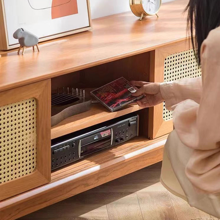Vintage-Inspired Television Console Present Them