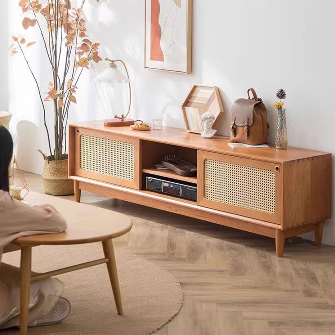 Vintage-Inspired Television Console Present Them