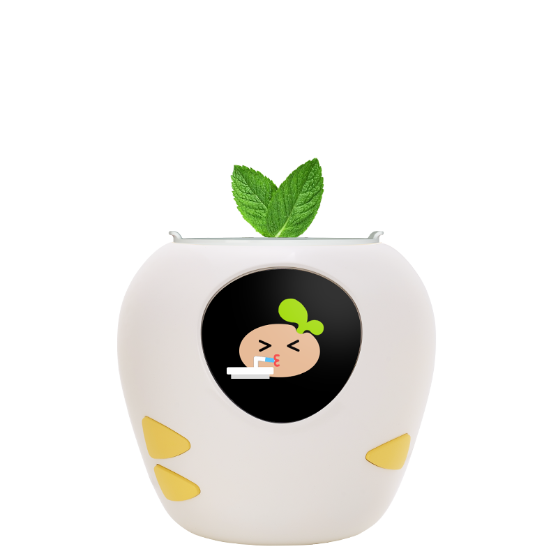Masdio Smart Flowerpots