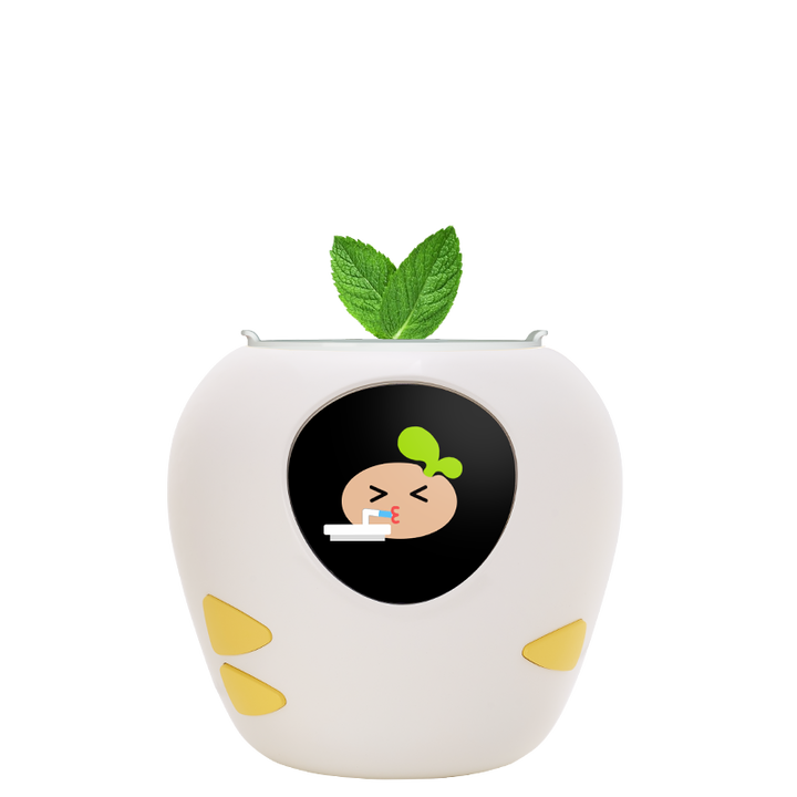 Masdio Smart Flowerpots