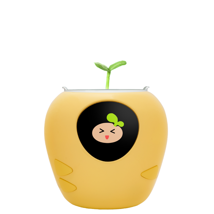 Masdio Smart Flowerpots