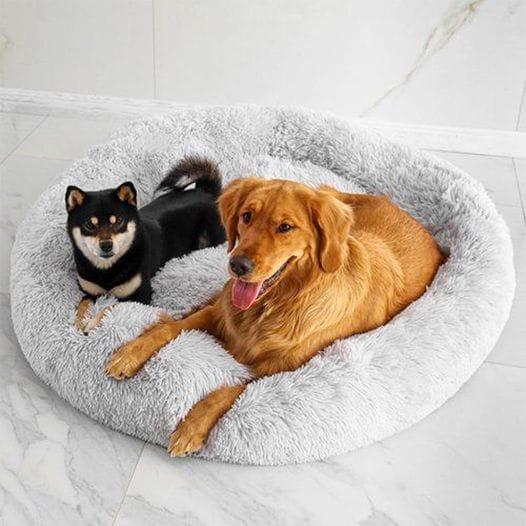 Calming Pet Bed Present Them