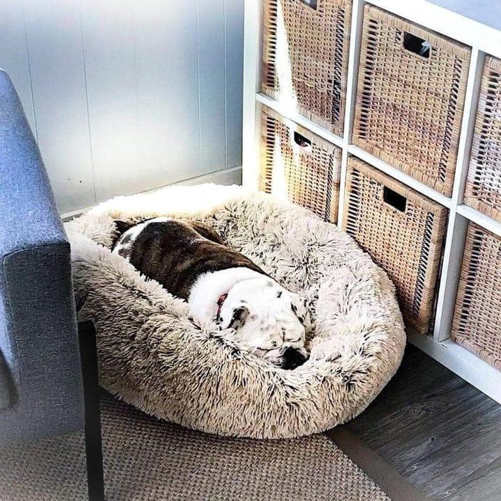 Calming Pet Bed