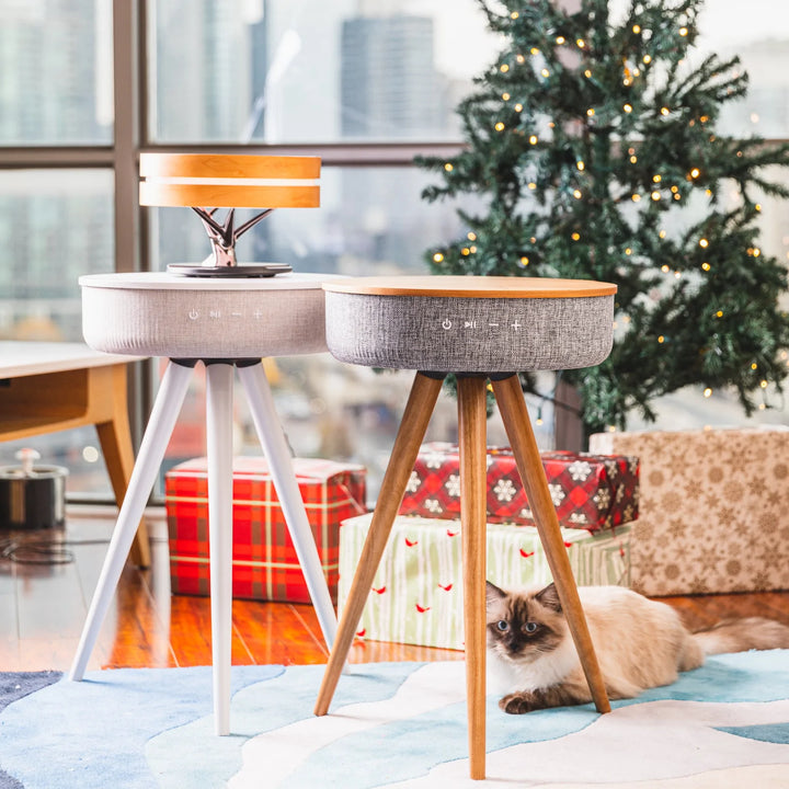 Mersenne Speaker Table