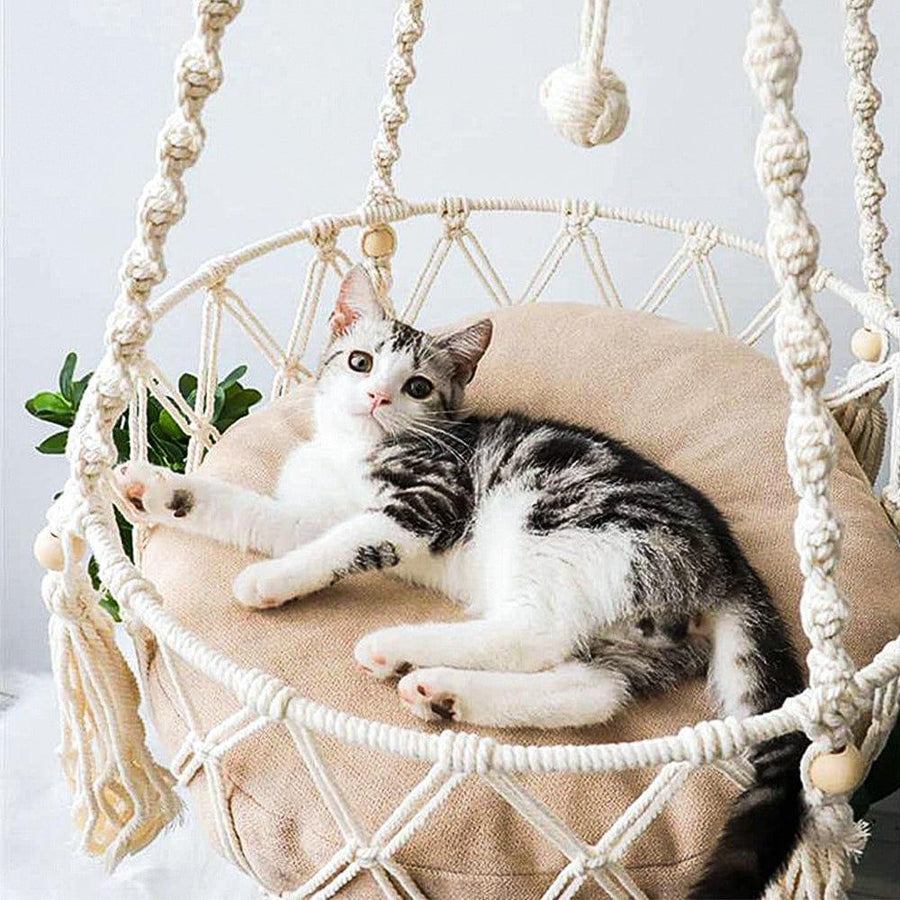 Bohemia Style Cat Hammock Present Them