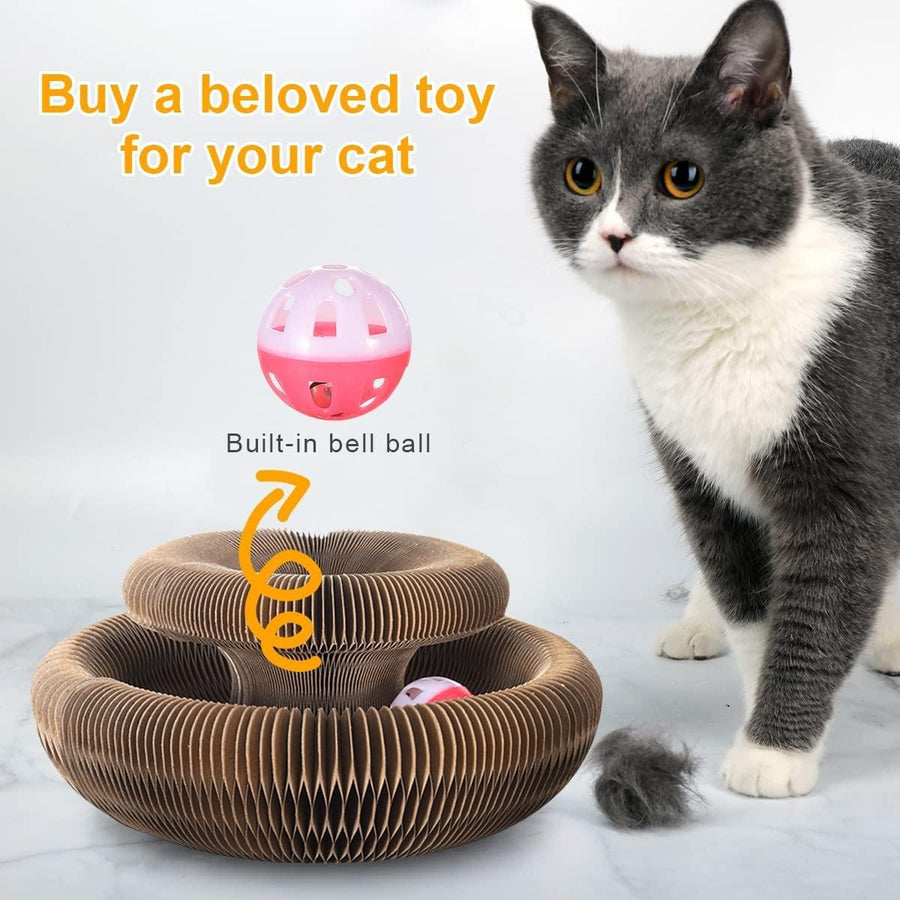 Cat Cordion Scratching Board Present Them