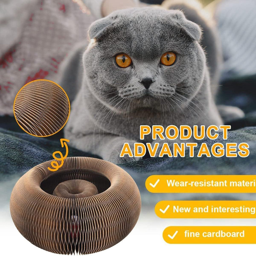 Cat Cordion Scratching Board Present Them