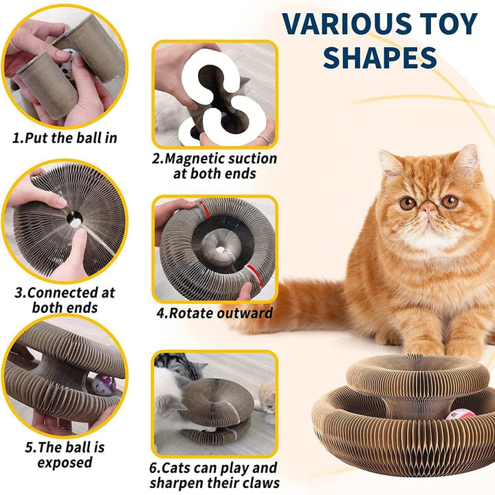 Cat Cordion Scratching Board Present Them
