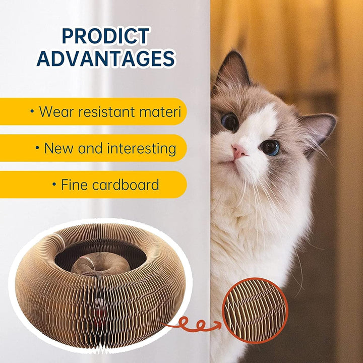 Cat Cordion Scratching Board Present Them