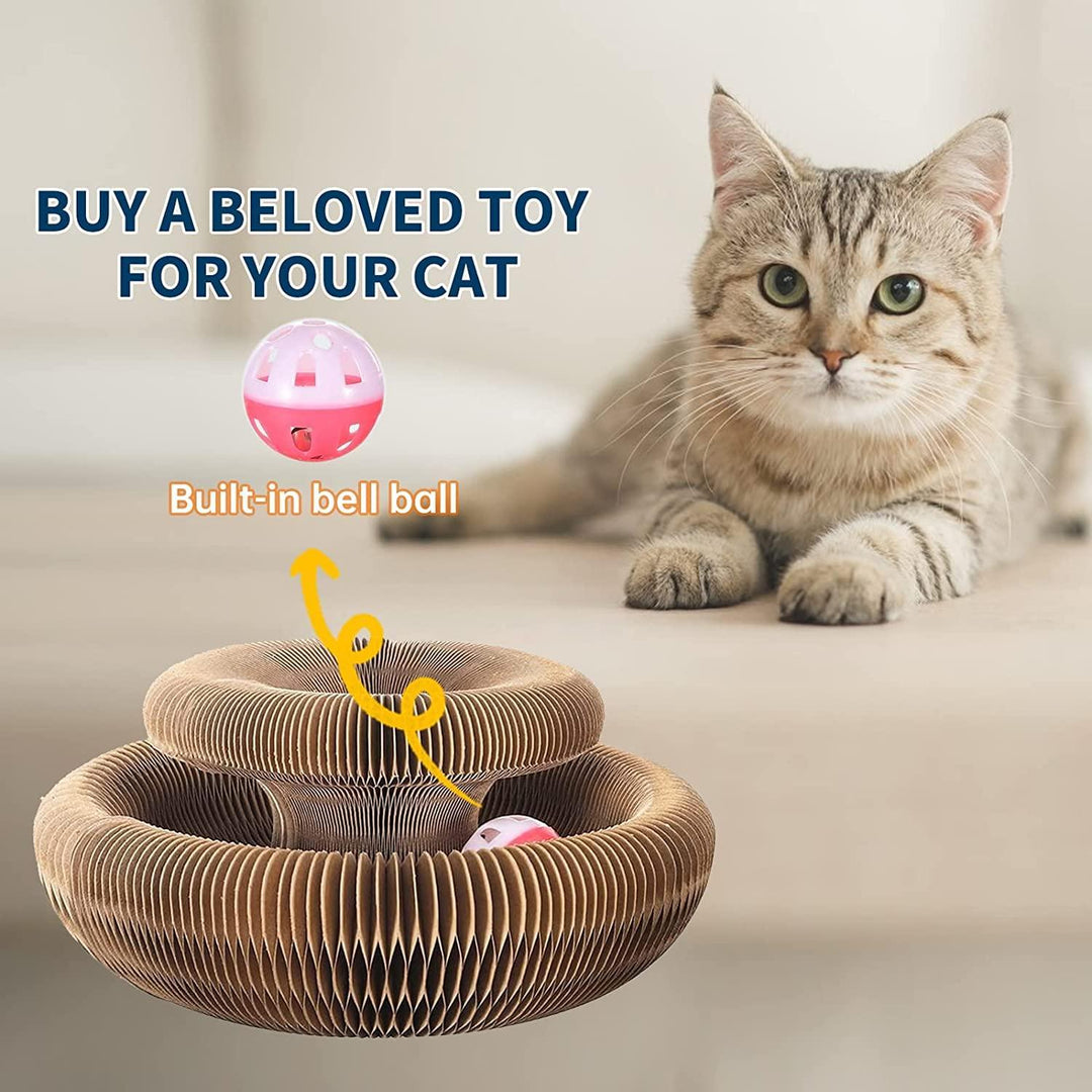 Cat Cordion Scratching Board Present Them