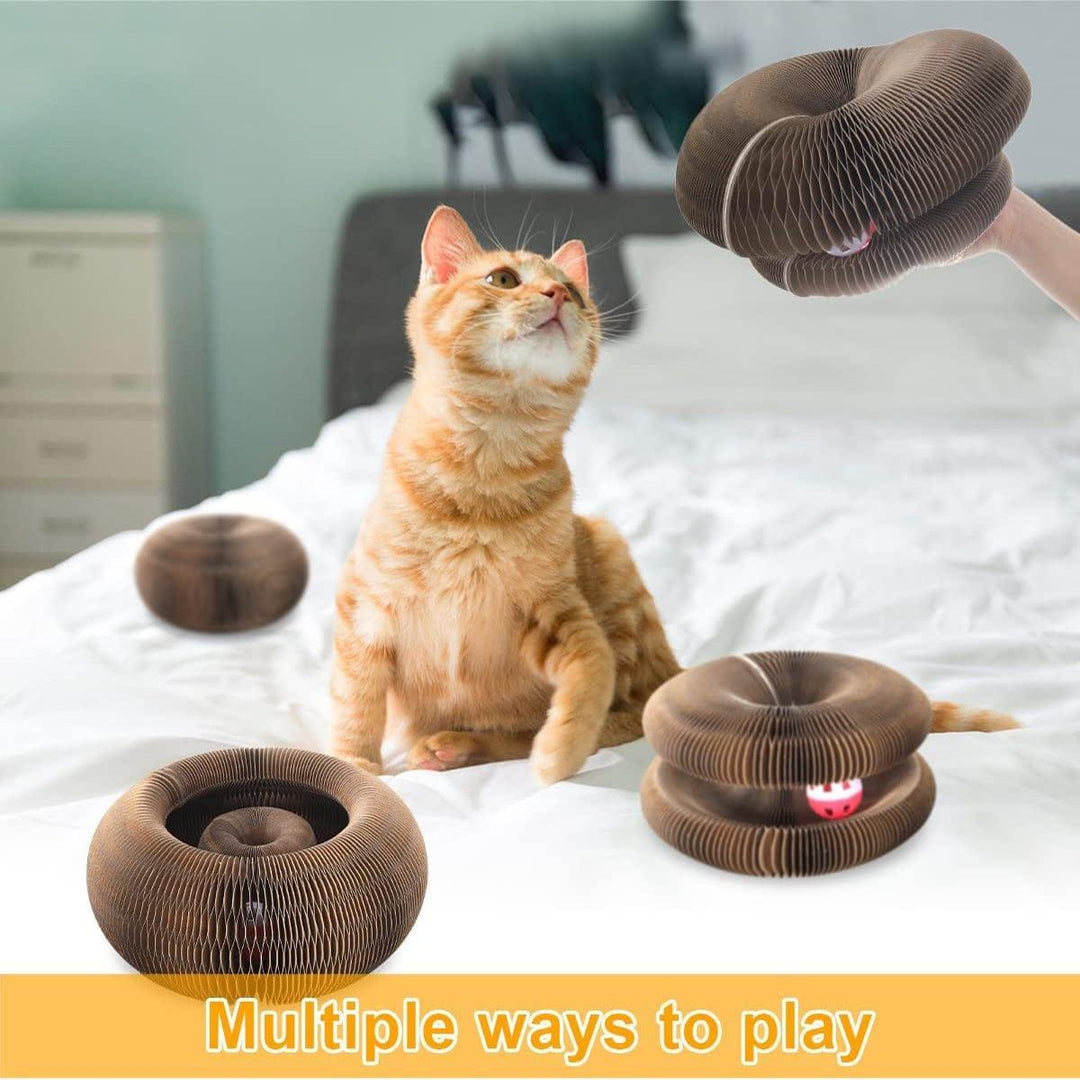 Cat Cordion Scratching Board Present Them