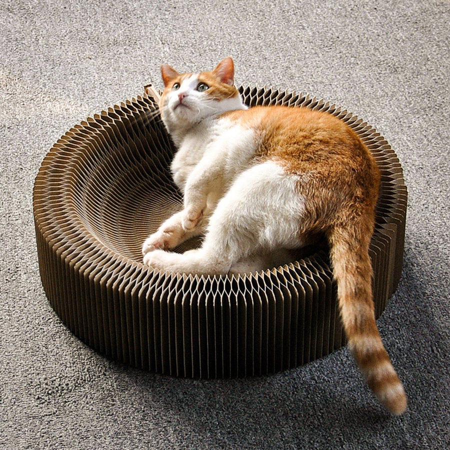 Collapsible Cat Scratcher Bed Present Them