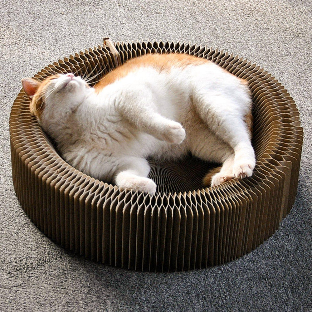 Collapsible Cat Scratcher Bed Present Them