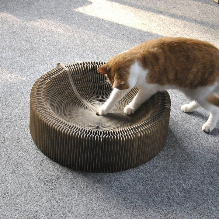 Collapsible Cat Scratcher Bed Present Them