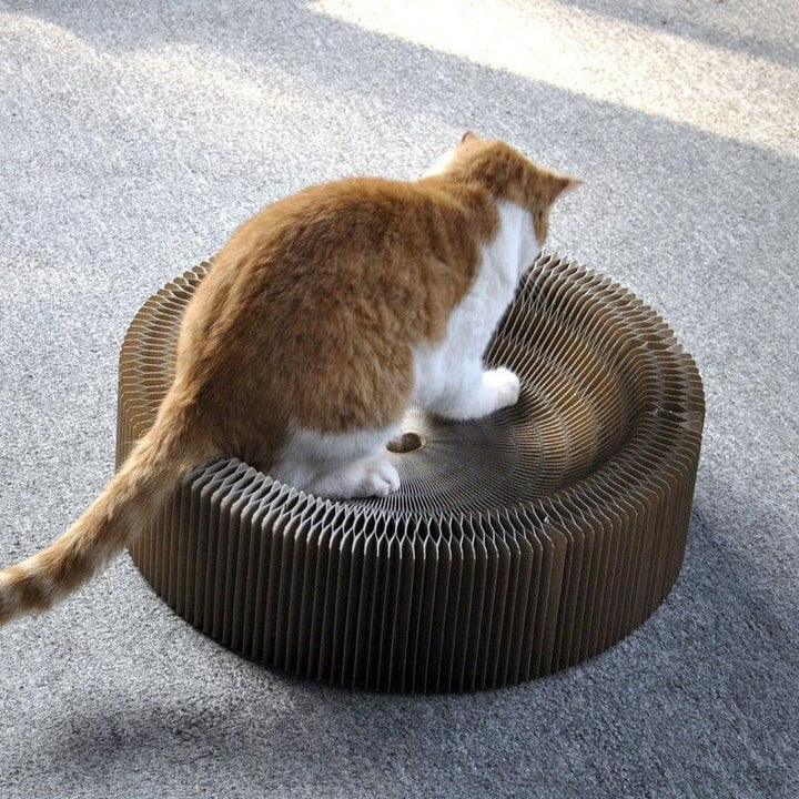Collapsible Cat Scratcher Bed Present Them