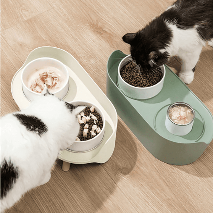 Dual Ceramics Pet Bowls Present Them