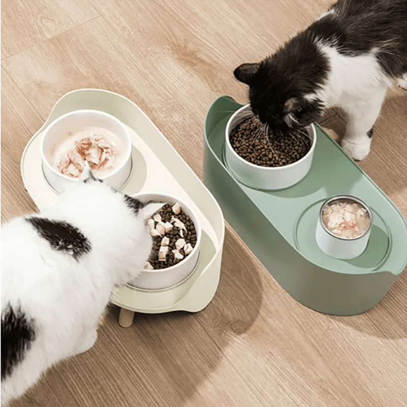 Dual Ceramics Pet Bowls Present Them