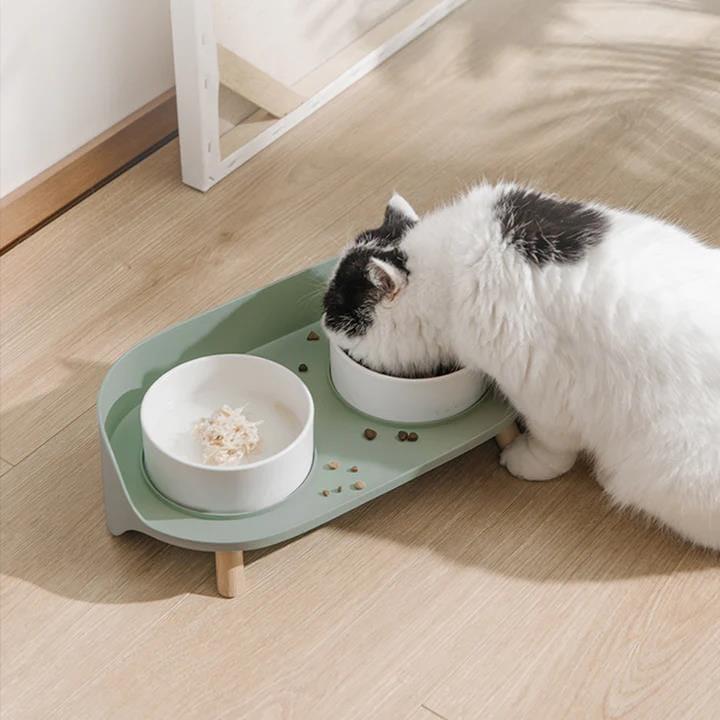Dual Ceramics Pet Bowls Present Them