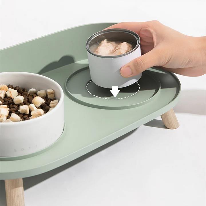 Dual Ceramics Pet Bowls Present Them