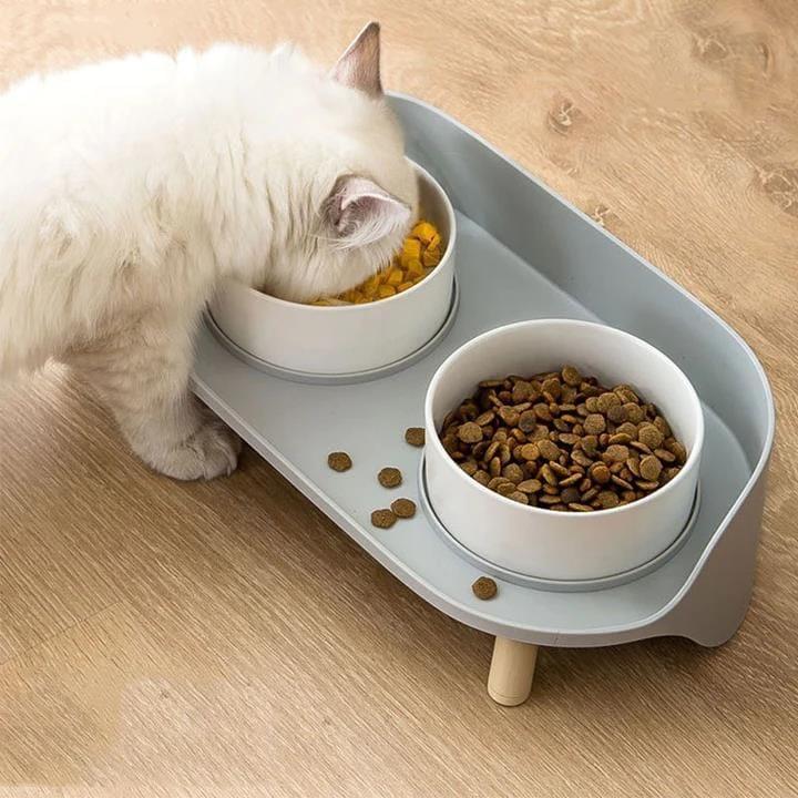 Dual Ceramics Pet Bowls Present Them