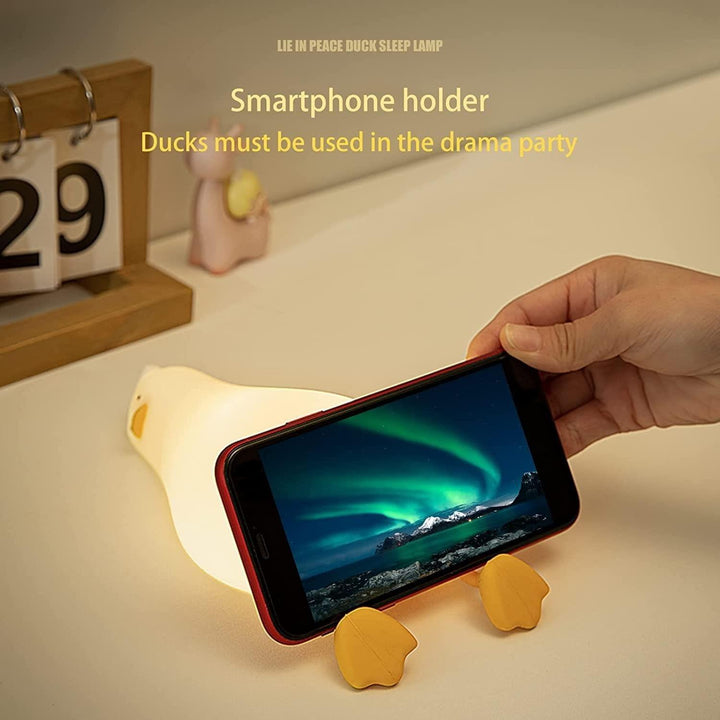 Flat Duck Light Present Them